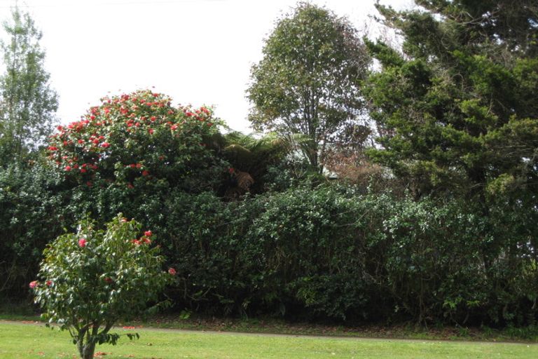 Photo of property in 98 Hamlet Street, Stratford, 4332