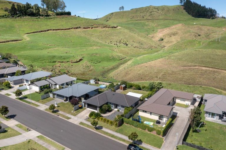 Photo of property in 224 Ballintoy Park Drive, Welcome Bay, Tauranga, 3175