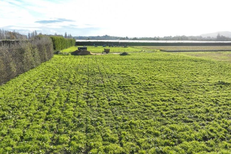 Photo of property in 1023 Links Road, Waiohiki, Napier, 4183