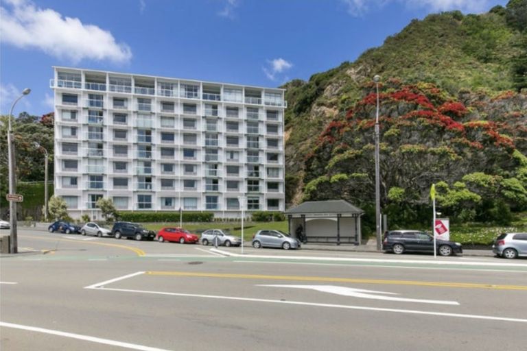 Photo of property in The Capital, 4/370 Oriental Parade, Oriental Bay, Wellington, 6011