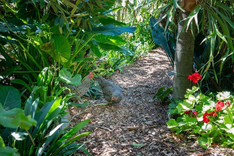 Photo of property in 3/41 Omarunui Road, Waiohiki, Napier, 4183