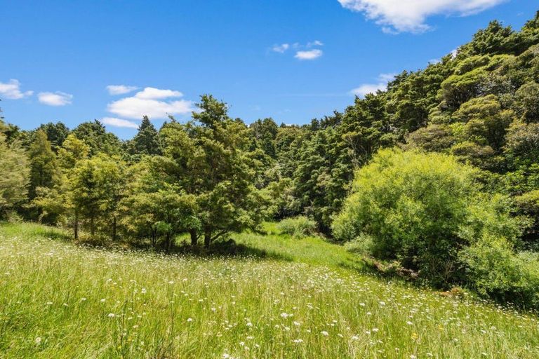 Photo of property in 76 Forest View Road, Te Kamo, Kamo, 0185