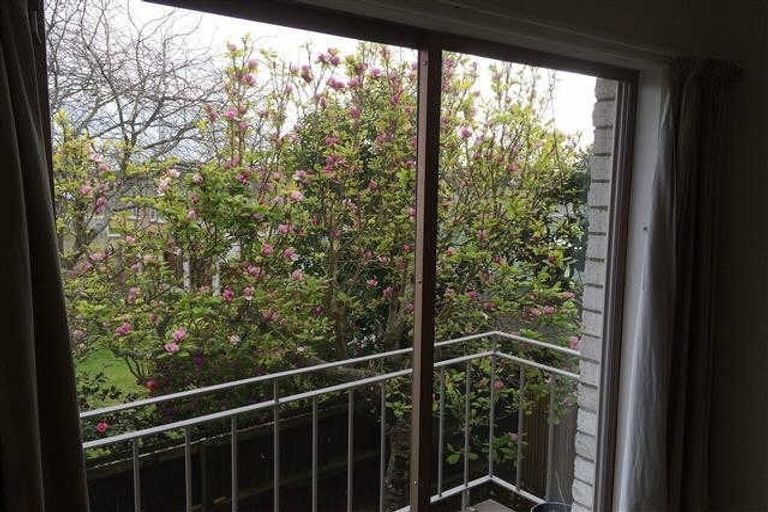 Photo of property in 150 Firth Street, Hamilton East, Hamilton, 3216