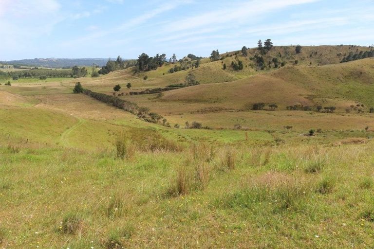 Photo of property in 113c Marua Road, Hikurangi, 0181