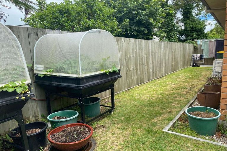 Photo of property in 12c Pererika Street, Victoria, Rotorua, 3010