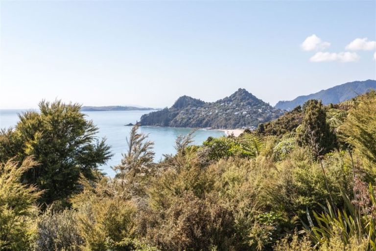 Photo of property in 160 Pumpkin Hill Road, Pumpkin Hill, Whitianga, 3591