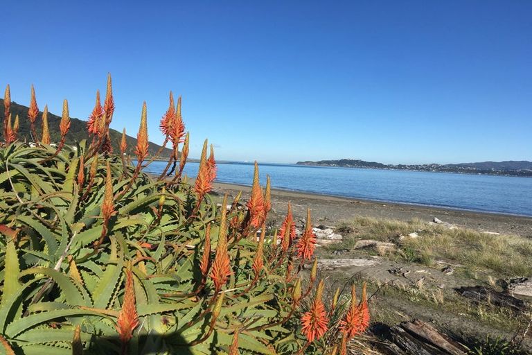 Photo of property in Inverey, 6 Maire Street, Eastbourne, Lower Hutt, 5013