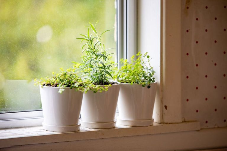 Photo of property in 9 Elizabeth Street, Beerescourt, Hamilton, 3200