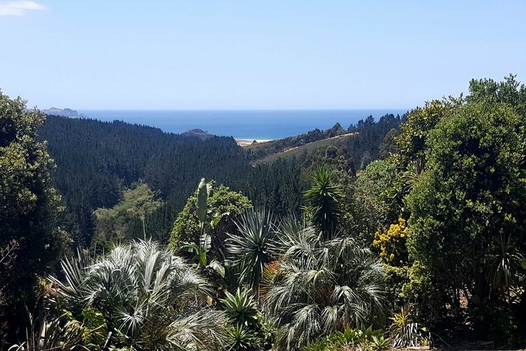 Photo of property in 333 Otaha Road, Kaeo, Kerikeri, 0295