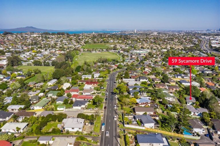 Photo of property in 59 Sycamore Drive, Sunnynook, Auckland, 0620