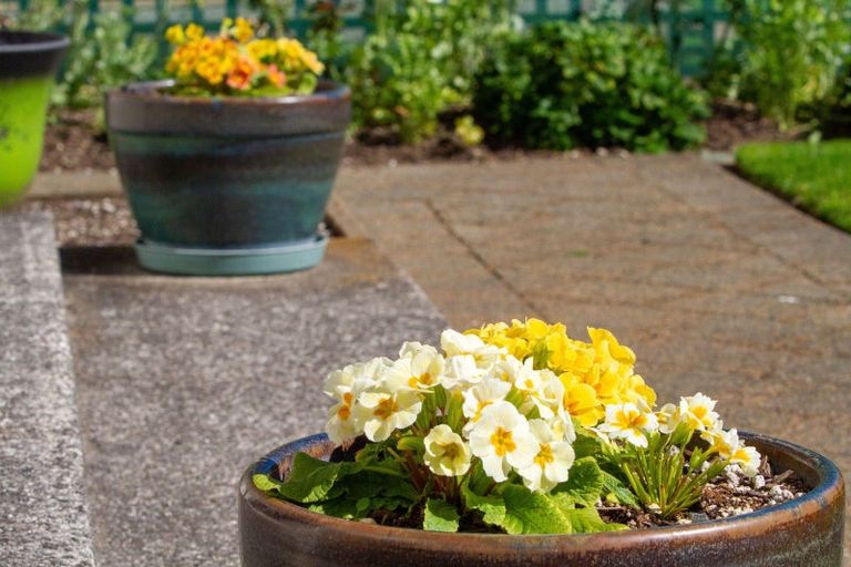 Photo of property in Park Lane Village, 5/32 Park Road, Katikati, 3129