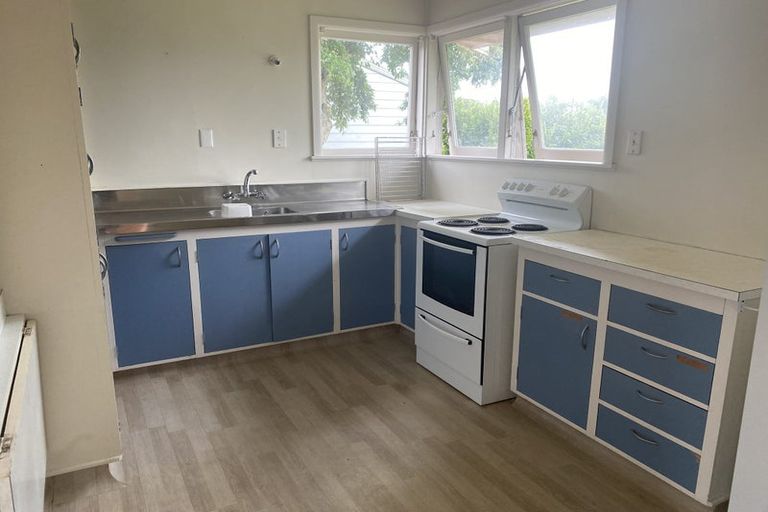 Photo of property in 163 River Road, Hamilton East, Hamilton, 3216