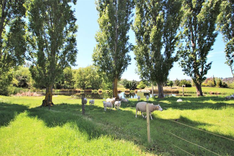 Photo of property in 218 Chapman Road, Earnscleugh, Alexandra, 9391