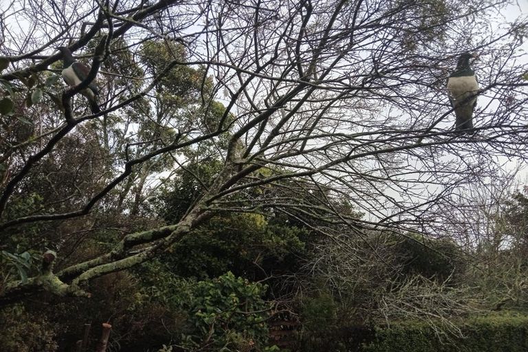 Photo of property in 126 Awai Road, Tarurutangi, New Plymouth, 4372