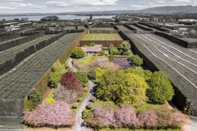 Photo of property in 76 Pukakura Road, Katikati, 3178