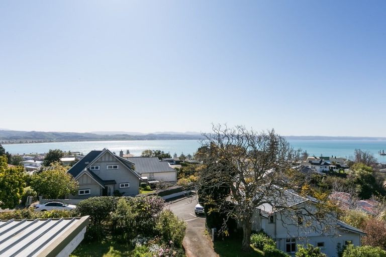 Photo of property in 19 Coleman Terrace, Hospital Hill, Napier, 4110