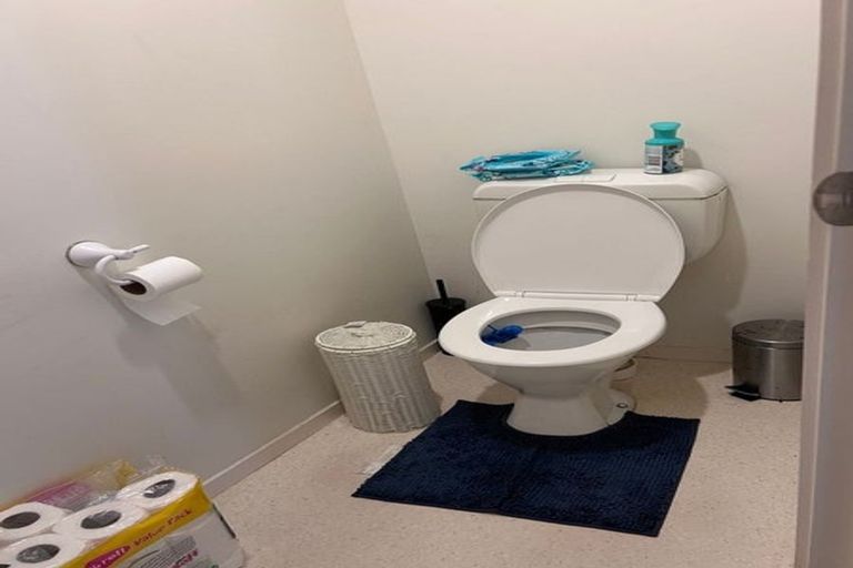 Photo of property in 53 Palmcrest Grove, Highland Park, Auckland, 2010