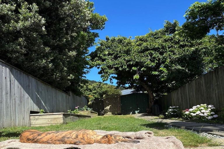 Photo of property in 246 Adelaide Road, Newtown, Wellington, 6021