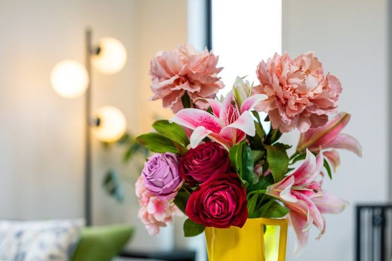 Photo of property in 6 Nanchang Road, Burleigh, Blenheim, 7201