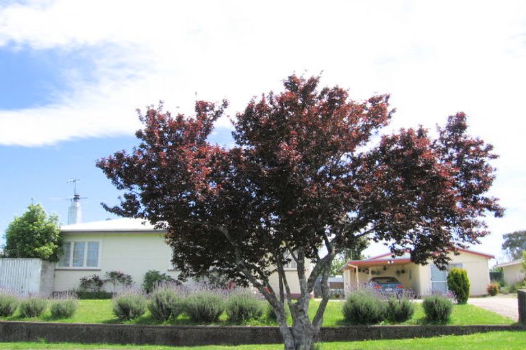 Photo of property in 2 Buchanan Street, Mangapapa, Gisborne, 4010