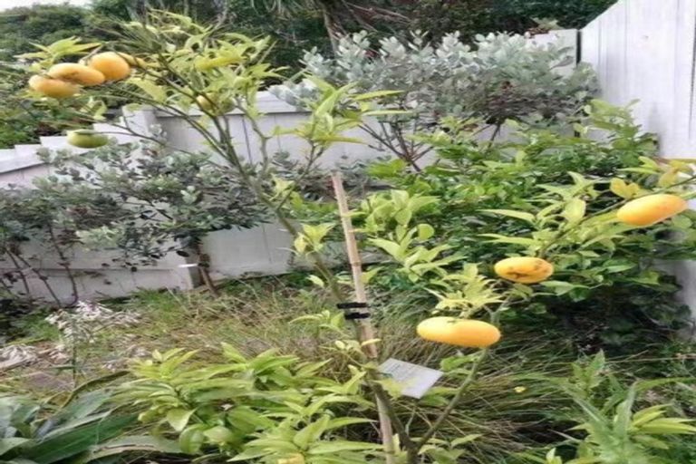 Photo of property in 13 Shirley Road, Grey Lynn, Auckland, 1021