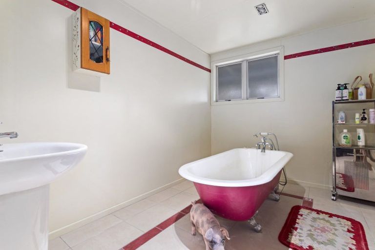 Photo of property in 25b Galatea Road, Te Teko, Whakatane, 3192