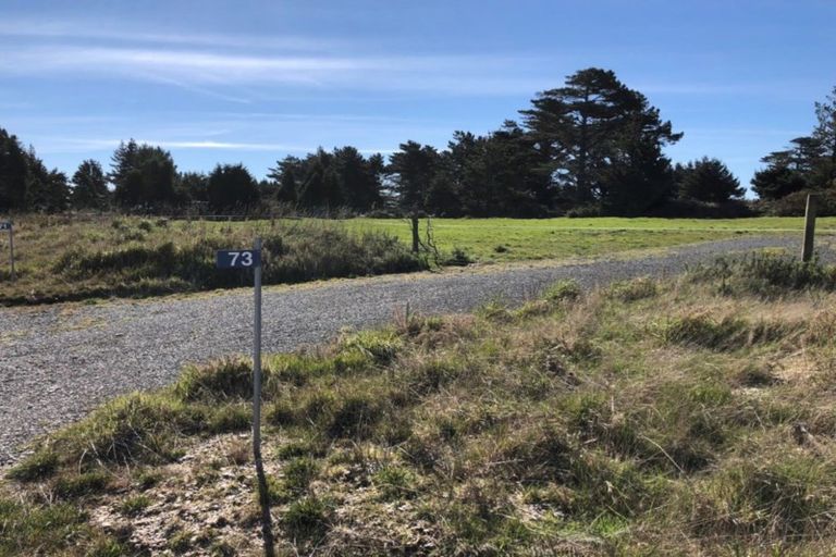 Photo of property in 71 Awarua Bay Road, Awarua Plains, Invercargill, 9877