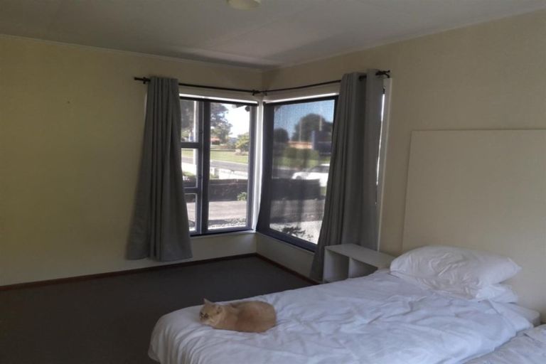 Photo of property in 12 Storkey Street, Marewa, Napier, 4110