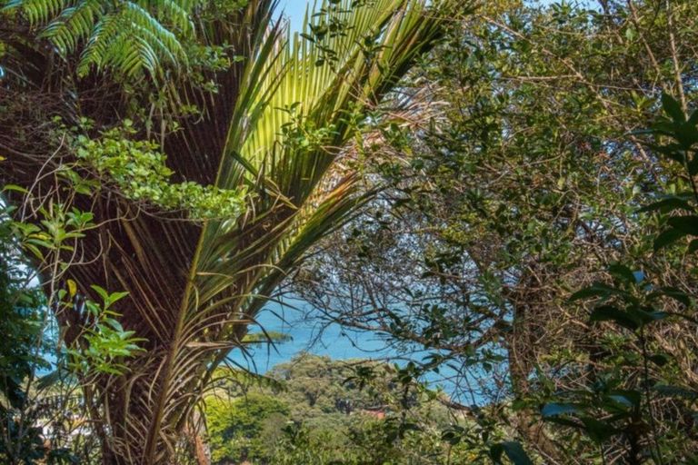 Photo of property in 31 Trotter Avenue, Waiomu, Thames, 3575