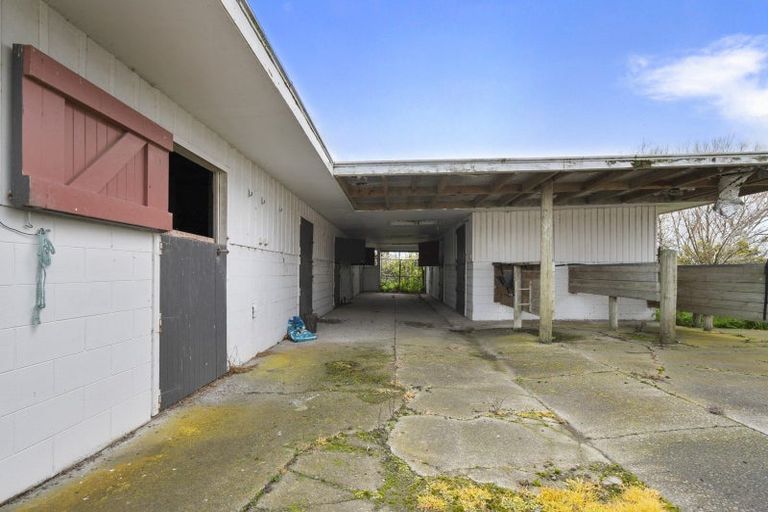 Photo of property in 201 Shirriffs Road, Awapuni, Palmerston North, 4412