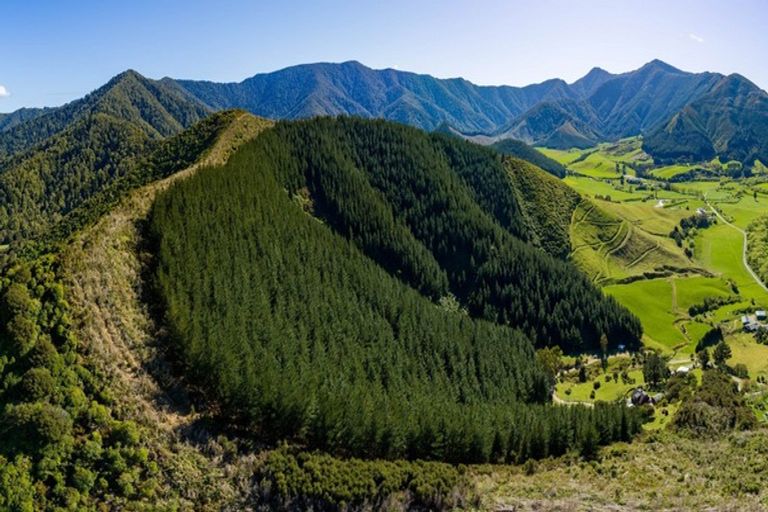 Photo of property in 125 Kaiuma Bay Road, Canvastown, Havelock, 7178