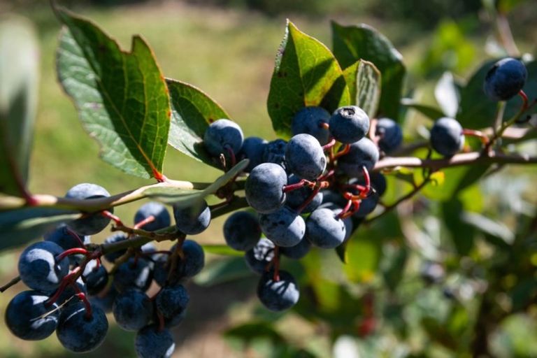 Photo of property in 1/3200 Cambridge Road, Rotoorangi, Cambridge, 3495