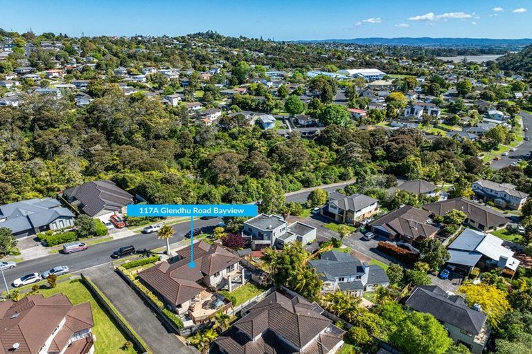 Photo of property in 117a Glendhu Road, Bayview, Auckland, 0629