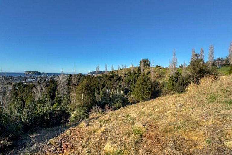 Photo of property in 113 Te Pamahue Drive, Whangamata, 3620