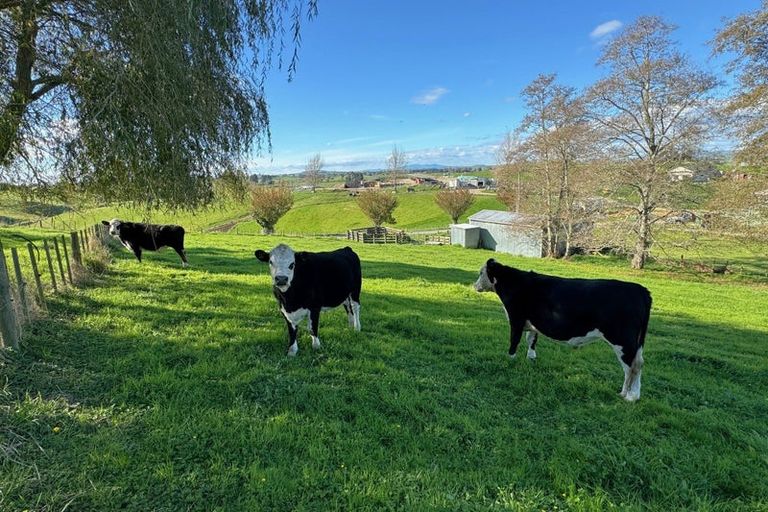 Photo of property in 445 Te Kuiti Road, Otorohanga, 3977