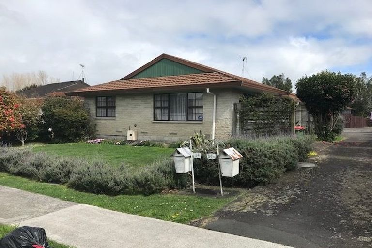 Photo of property in 56 Alison Street, Hamilton Lake, Hamilton, 3204
