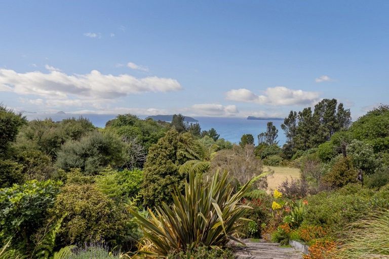 Photo of property in 123 Pumpkin Hill Road, Pumpkin Hill, Whitianga, 3591