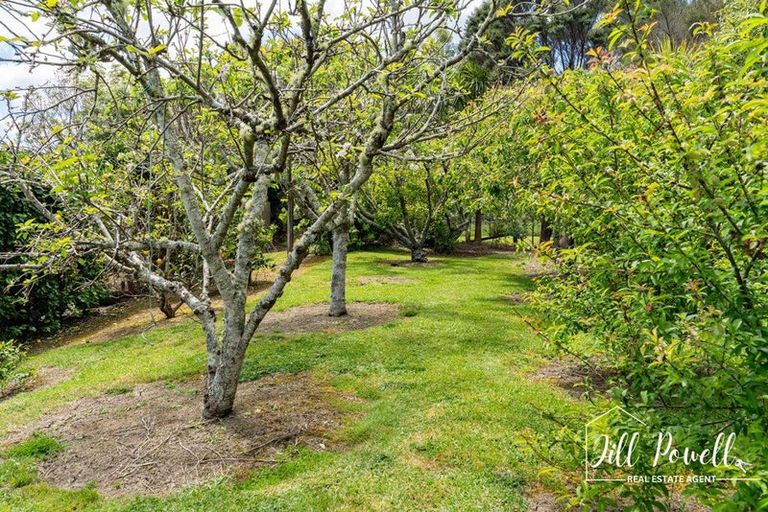 Photo of property in 93c Jumna Road, Maungaturoto, 0587