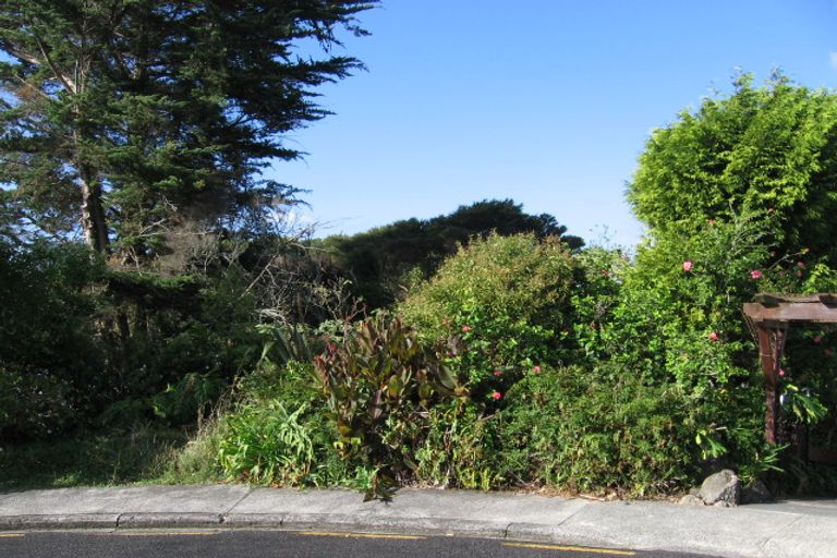Photo of property in 25 Willow Avenue, Birkenhead, Auckland, 0626