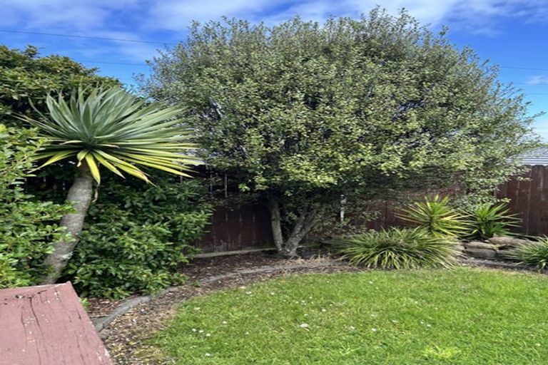 Photo of property in 55 Robin Brooke Drive, Flat Bush, Auckland, 2019