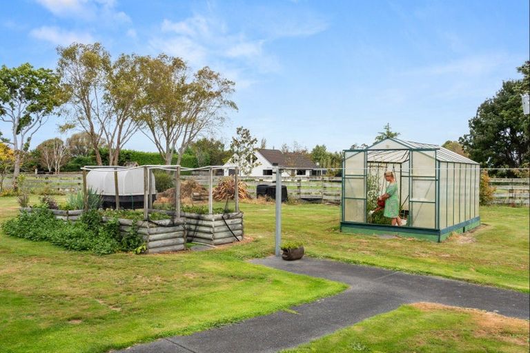 Photo of property in 99 Hansen Road, Makauri, Gisborne, 4071