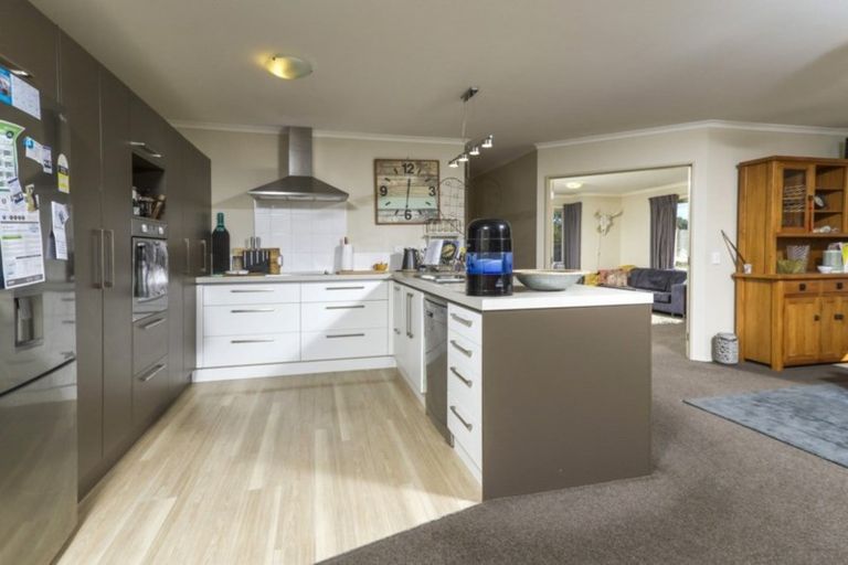 Photo of property in 19 Taranaki Place, Richmond, 7020