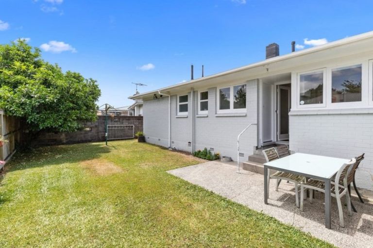 Photo of property in 53 Ascot Road, Chartwell, Hamilton, 3210