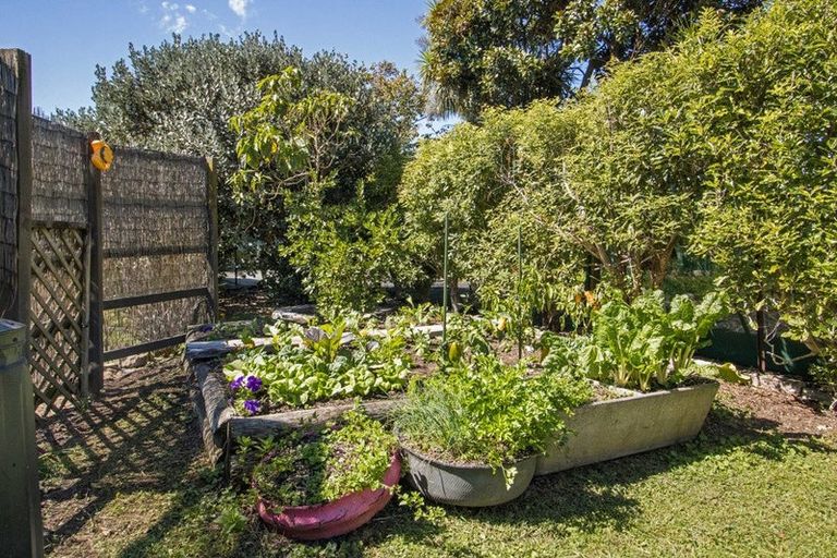 Photo of property in 87a Park Road, Katikati, 3129