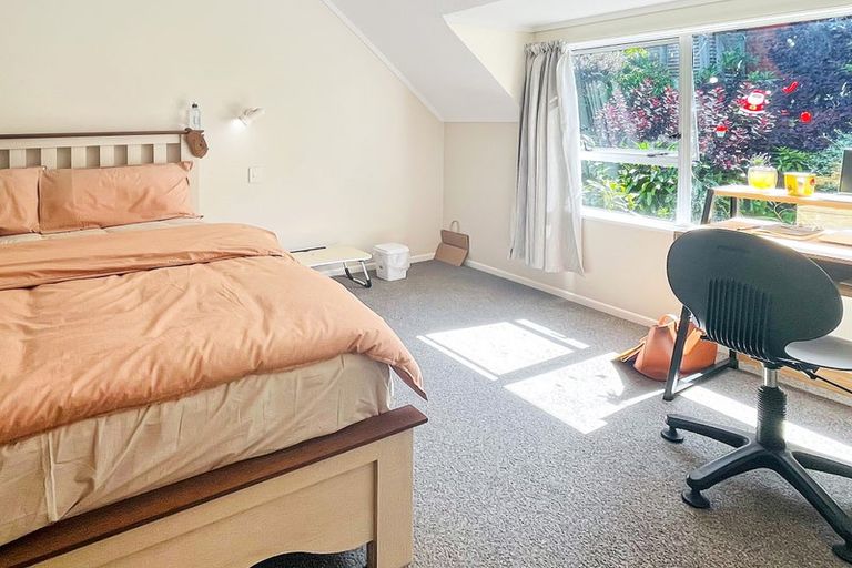 Photo of property in Park Lane Mews, 326 The Terrace, Te Aro, Wellington, 6011