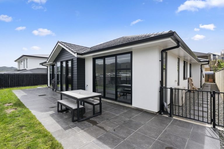 Photo of property in 111 John Burke Drive, Aotea, Porirua, 5024