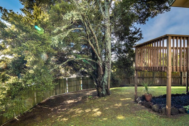 Photo of property in 29 Jubaea Place, Henderson, Auckland, 0610