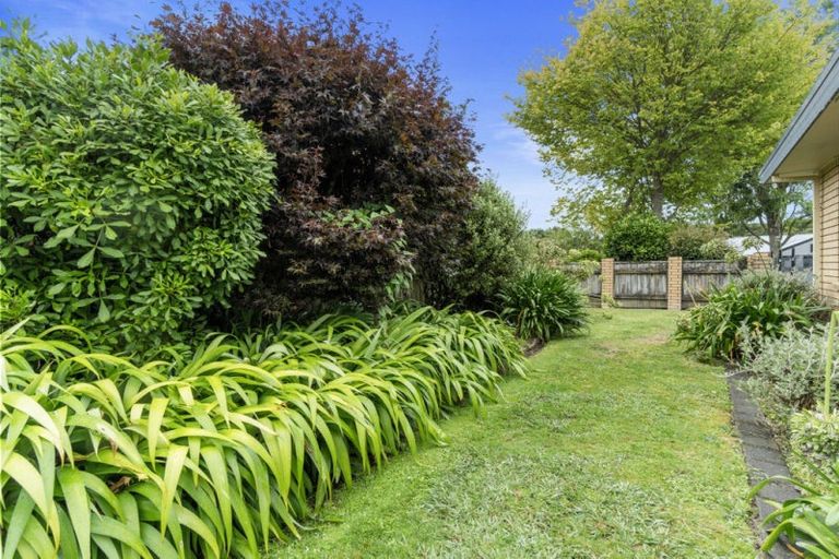 Photo of property in 22 Canaandale Drive, Flagstaff, Hamilton, 3210