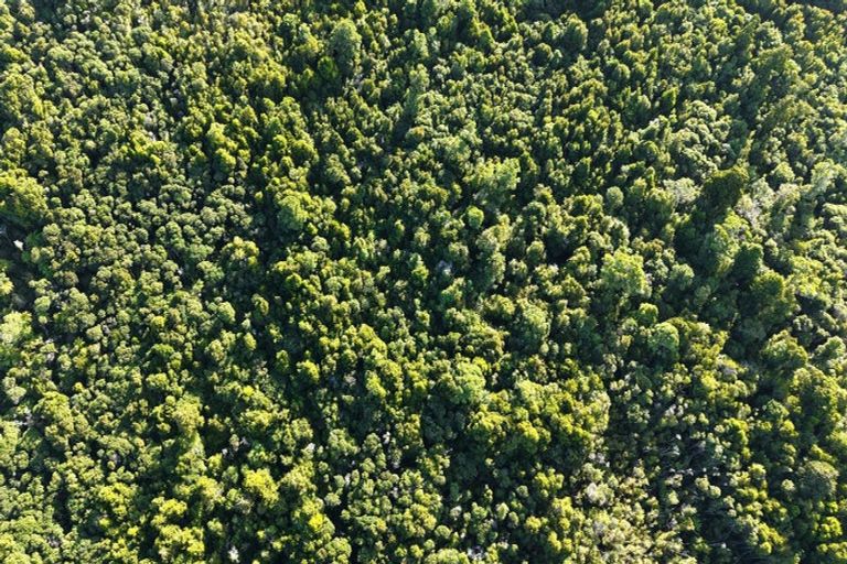 Photo of property in 37 South Terrace Road, Karamea, 7893