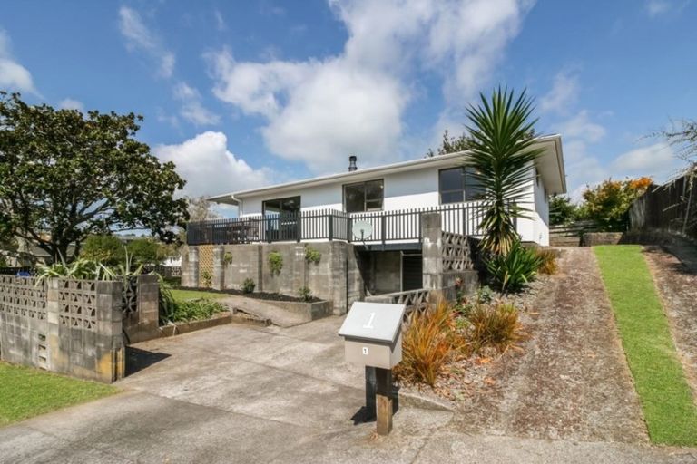 Photo of property in 1 Newlyn Place, Welbourn, New Plymouth, 4312